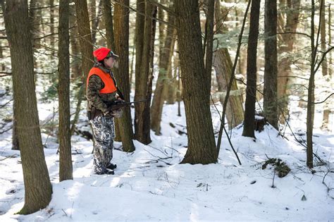 Vermont Tradition In Decline Hunting Falls Victim To Demographic