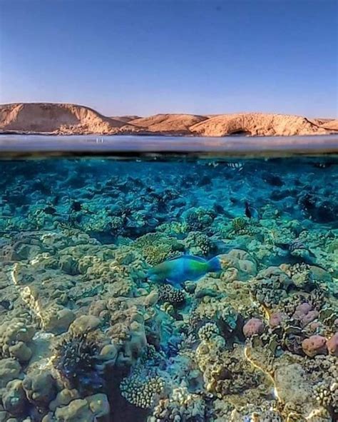 Wonderful View Of Red Sea In Egypt Oceans