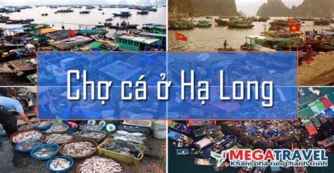 Top 6 Chợ Hải Sản Giá Rẻ Chất Lượng Nhất Hạ Long Megatravel Kênh