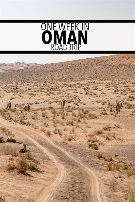 One Week In Oman A Self Drive Budget Itinerary Road Trip Itinerary