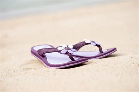 Beautiful Purple Flip Flops On The Beach Stock Photo Image Of Fashion
