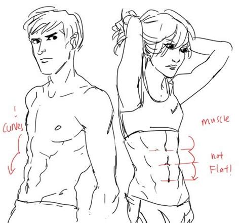 Pin By Jay Win On Drawingrefs With Images Drawings How To Draw Abs