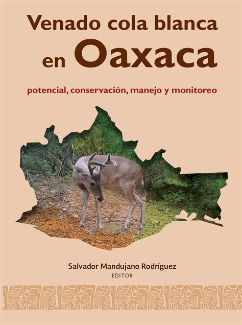 Pdf Venado Cola Blanca En Oaxaca Potencial Conservación Manejo Y