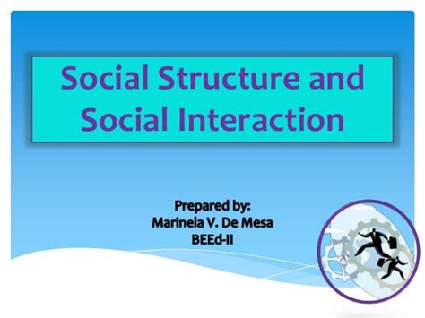 Social Structure And Social Interaction
