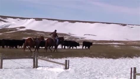 Perfect Storm Blizzard Shutdown Pummel South Dakota Ranchers