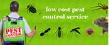 Images of Pest Control Services