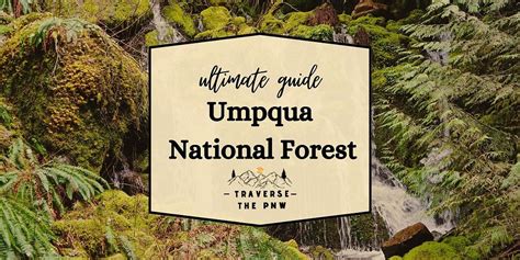 Discovering The Beauty Of The Umpqua National Forest