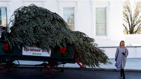 White house christmas decorations 2020 images with masks. Melania Trump welcomes Christmas tree, kicks off holiday ...