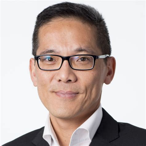 Dipl Ing Luyen Nguyen Managing Business Analyst Capgemini Xing