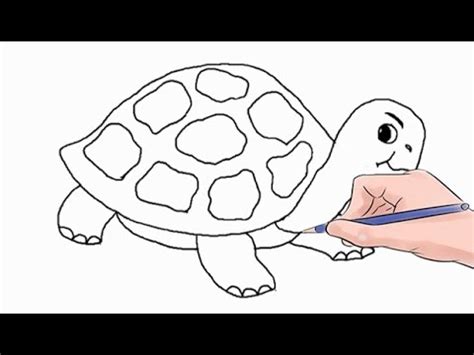 Learn to draw anime, cartoons, flowers and other cool pictures. How to Draw a Turtle Easy Step by Step - YouTube