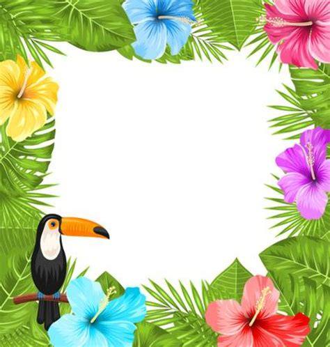 Download High Quality Hawaiian Clipart Border Transparent Png Images