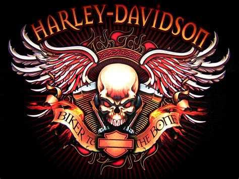 Harley Davidson Logo Skull Bikes Motorcycle Wallpaper 1600x1200