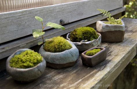 Eco Baroque Moss Pots Moss Garden Container Gardening Miniature Garden