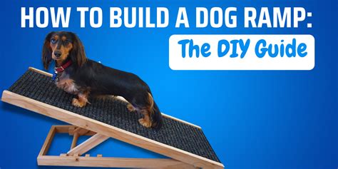How To Build A Dog Ramp The Diy Guide Dog Ramp Dogs Diy Dog Stuff