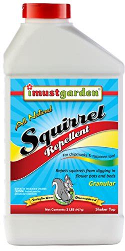 Best Squirrel Repellent 5 Options Reviewed Living The Outdoor Life