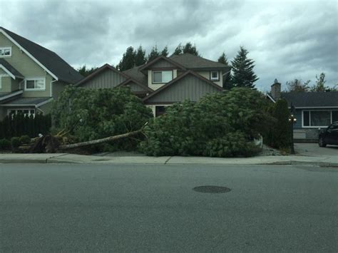 Massive Metro Vancouver Storm Leads To Power Outages Fallen Trees