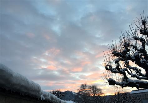 Gambar Pohon Alam Gunung Salju Musim Dingin Awan Matahari