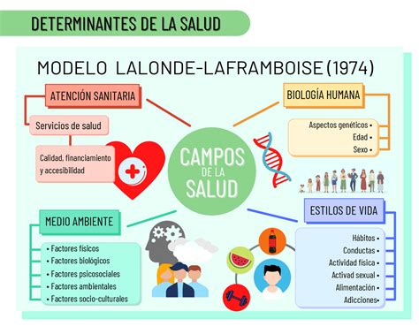 Informe Lalonde Determinantes De La Salud Diapositivas De Medicina Preventiva Docsity