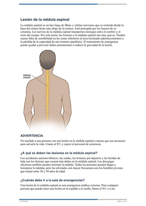 Pdf Lesión De La Médula Espinal Healthclips Online