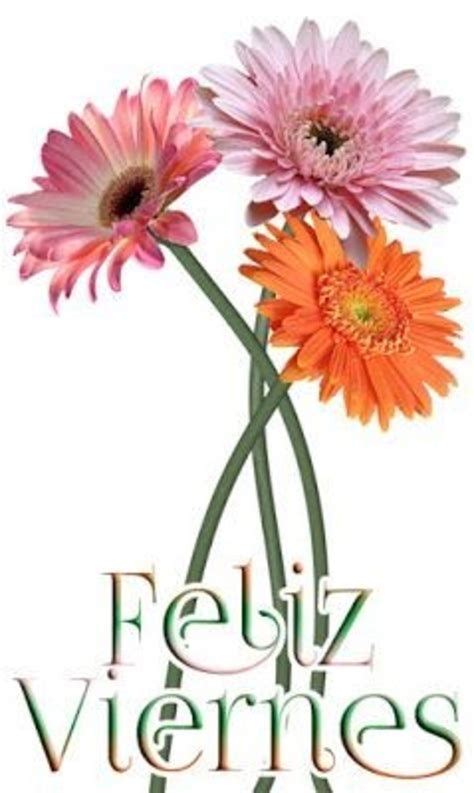Two Pink And Orange Flowers With The Words Feliz Viernes