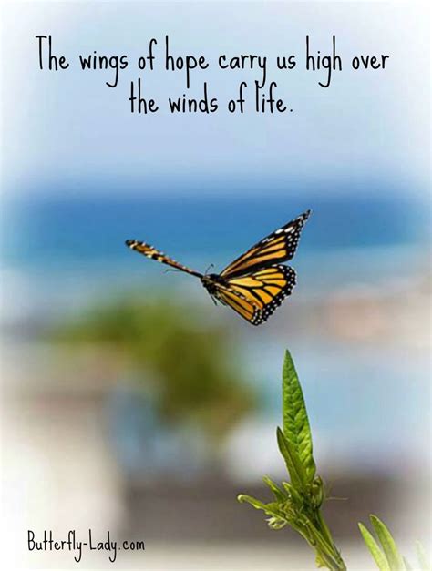 The Wings Of Hope Butterfly Quotes Mother Nature Quotes Butterfly