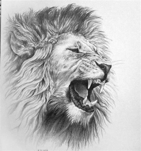 Scary Lion Drawing At Explore Collection Of Scary