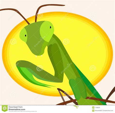 Mantis Stock Illustration Illustration Of Insect Yellow 7768233