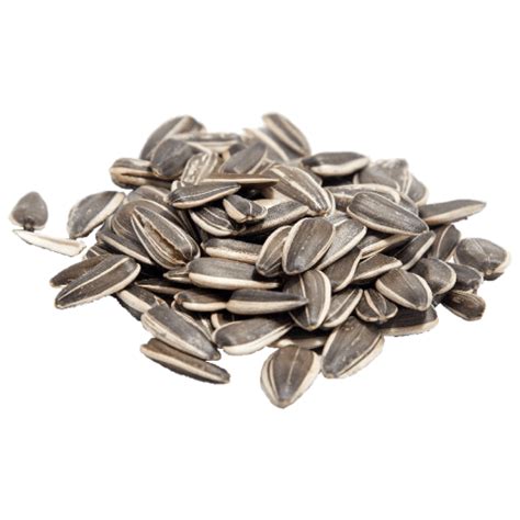 Sunflower Seeds Png Images Transparent Background Png Play