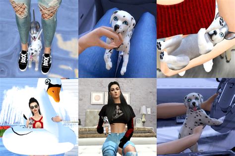 Dog Puppy Smiler Creations Sims Sims 4 Garotas Gamer