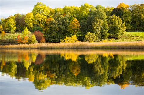 Forest Lake Autumn Reflection Wallpaper 2048x1365 210337 Wallpaperup