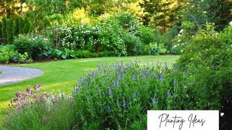 How To Merge The Forest In The Backyard With Your Garden