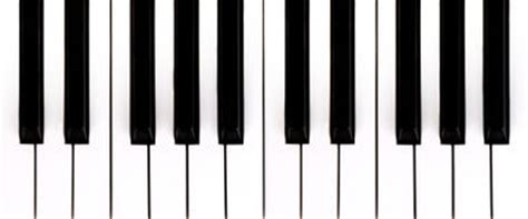 Anhand der klaviertastatur die verschiedenen töne kennenlernen und das mit einem klavier/einem glockenspiel ausprobieren. Klaviertasten vektor abbildung. Illustration von zeilen ...