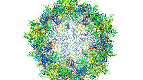A Coronavirus Vaccine Project Takes a Page From Gene Therapy - The New ...