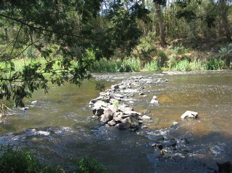 Find tripadvisor traveller reviews of warrandyte cafés and search by price, location, and more. TRACKS, TRAILS AND COASTS NEAR MELBOURNE : Koornong Hike ...