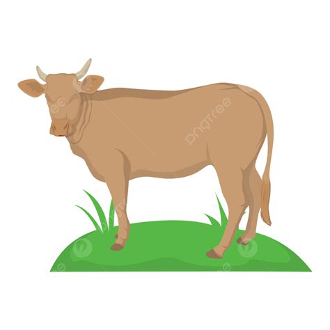 Ilustrasi Hewan Kurban Sapi Png Sapi Ilustrasi Sapi Sapi Kurban Png