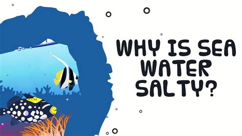 Why Is Sea Water Salty General Knowledge For Kids Youtube