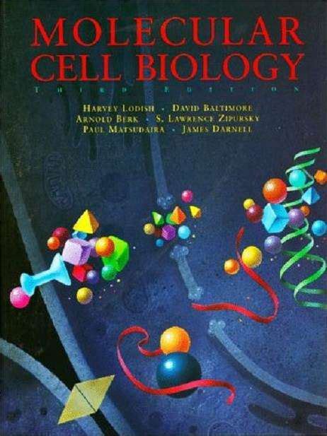 Molecular Cell Biology By Lodish Harvey