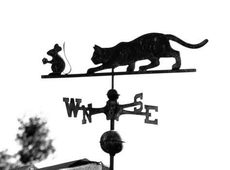 Cat And Mouse Weather Vane Free Stock Photo Public Domain Pictures