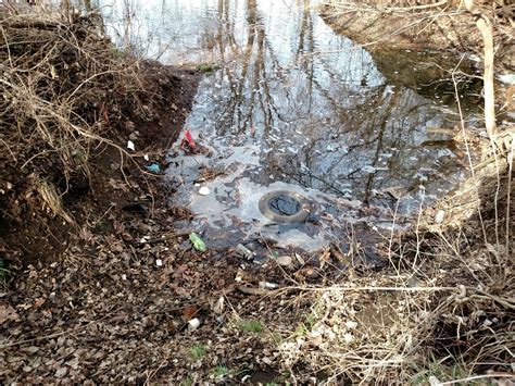 The good, the bad and the gross when it comes to a local creek on