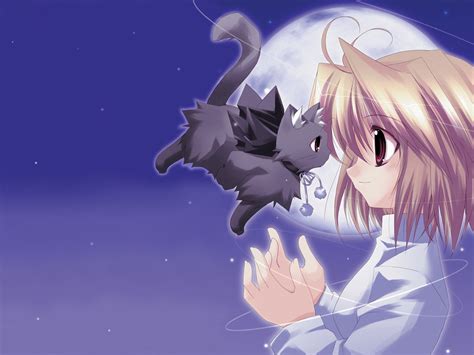 40 Cute Anime Cat Wallpaper On Wallpapersafari Posted By Christopher