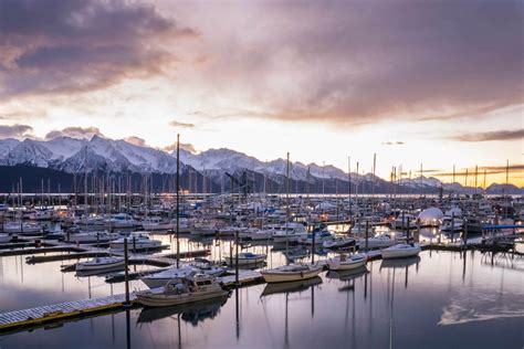 4 Reasons Why Fall Is The Best Time To Visit Seward Major Marine Tours