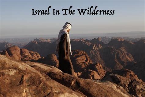 Jcpennys Musings Israel In The Wilderness Part 17