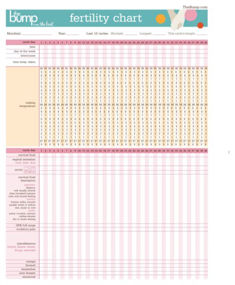 Download Ovulation Calendar For Free Formtemplate