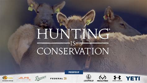 Hunting Is Conservation Hunting Provides Funding For Wildlife Research Youtube