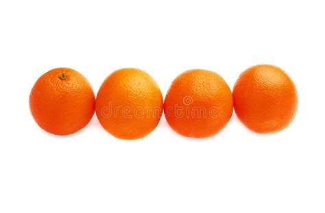 Four Oranges Fruits Composition Isolated Over The Stock Photo Image
