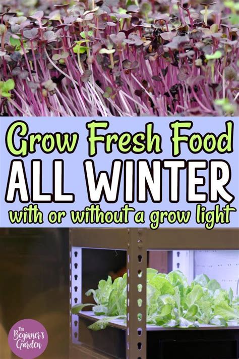 How To Grow Food Indoors In The Winter Artofit