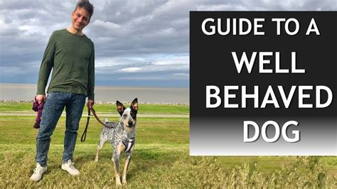 Your Guide to a Well Behaved Dog - Your Pets Magazine