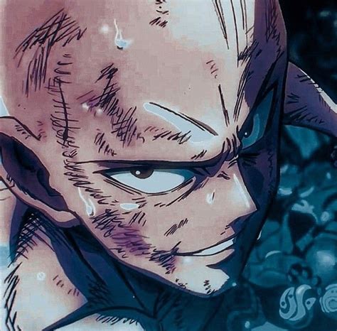 Saitama Mangá One Punch Man Personagens De Anime Anime