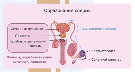 Как сделать жижу для пола дома 90 фото