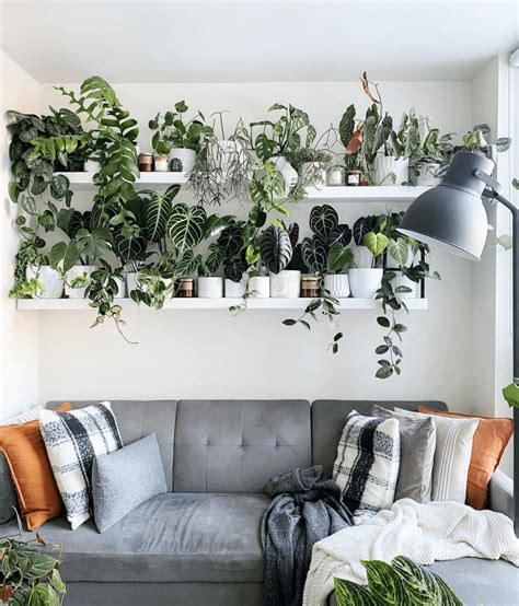 22 Plant Shelf Ideas That Are Perfectly Styled